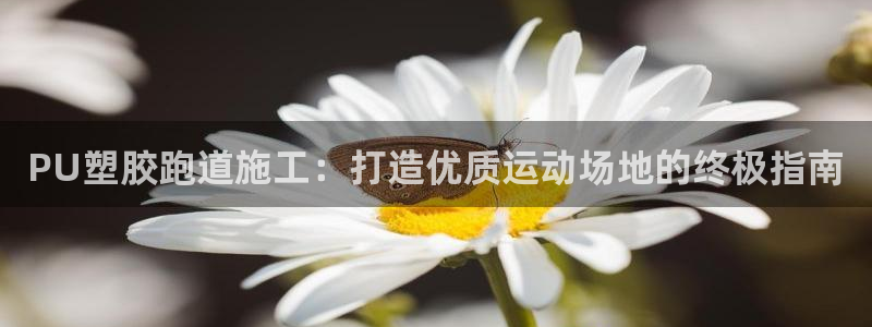 谈球吧官网在线入口免费观看视频网站：PU塑胶跑道施工：打造优质运动场地的终极指南