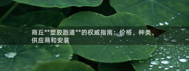 谈球吧体育app登陆不上：商丘**塑胶跑道**的权威
