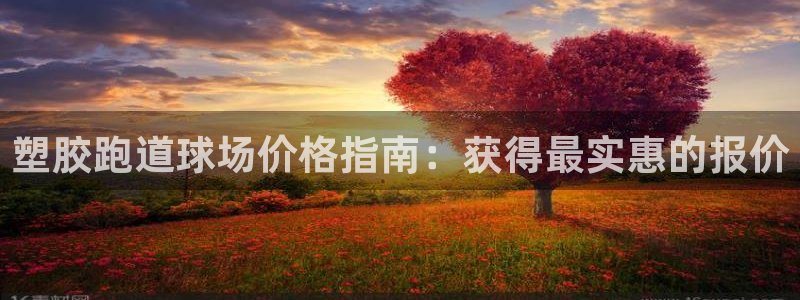 谈球吧电子app：塑胶跑道球场价格指南：获得最实惠的报价