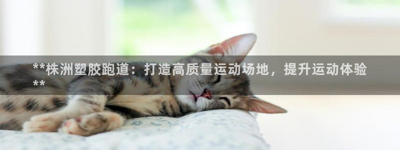 谈球吧app赛事分析报告：**株洲塑胶跑道：打造高质量运动场地，提升运动体验
**