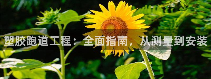 谈球吧在线登陆：塑胶跑道工程：全面指南，从测量到安装