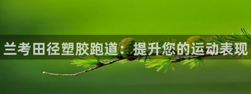 谈球吧app体育下载官网：兰考田径塑胶跑道：提升您的运动表现