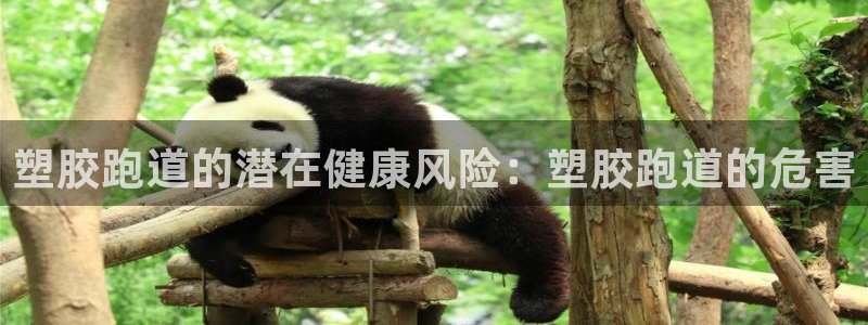 谈球吧app体育下载：塑胶跑道的潜在健康风险：塑胶跑道的危害