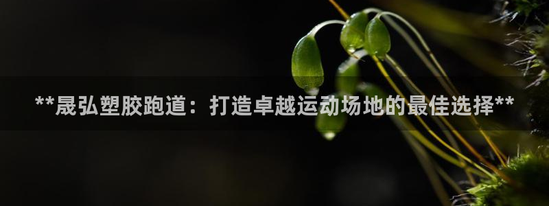 谈球吧登录网：**晟弘塑胶跑道：打造卓越运动场地的最佳选择**