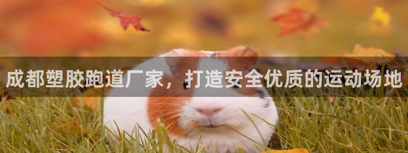 谈球吧出款怎样?：成都塑胶跑道厂家，打造安全优质的运动场地