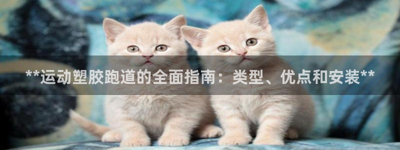 谈球吧体育官网在线入口：**运动塑胶跑道的全面指南：