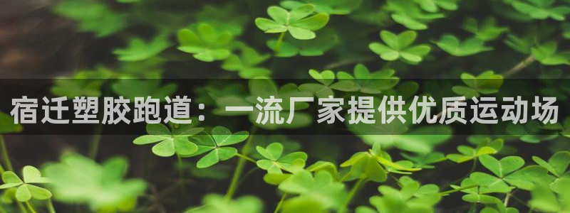 谈球吧体育app官网下载：宿迁塑胶跑道：一流厂家提供优质运动场