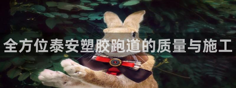 谈球吧咋样黑钱：全方位泰安塑胶跑道的质量与施工