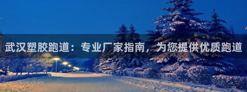 谈球吧体育app下载：武汉塑胶跑道：专业厂家指南，为您提供优质跑道