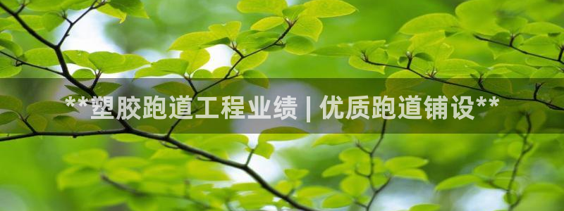 谈球吧体育app下载中心：**塑胶跑道工程业绩 | 