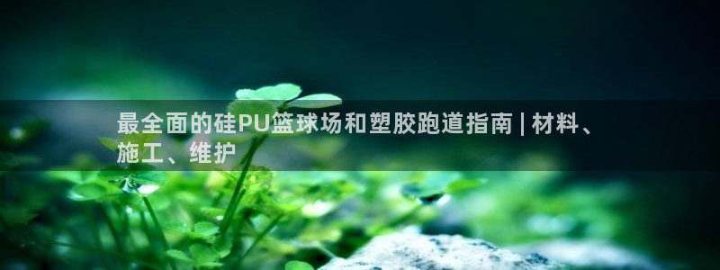 谈球吧在线登录：最全面的硅PU篮球场和塑胶跑道指南 | 材料、
施工、维护