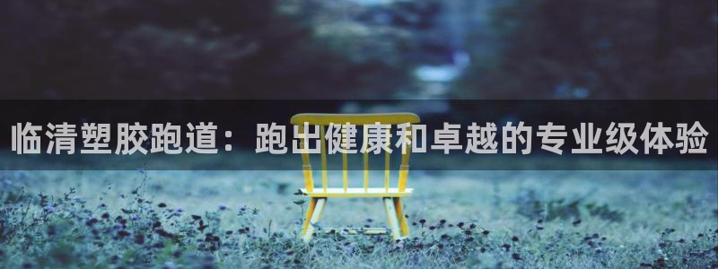 谈球吧网页版：临清塑胶跑道：跑出健康和卓越的专业级体验