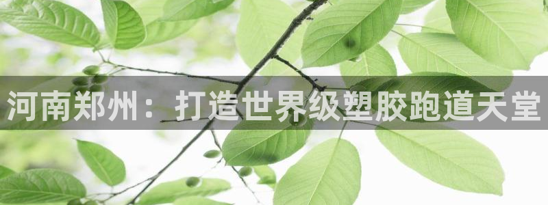 谈球吧体育官方入口：河南郑州：打造世界级塑胶跑道天堂