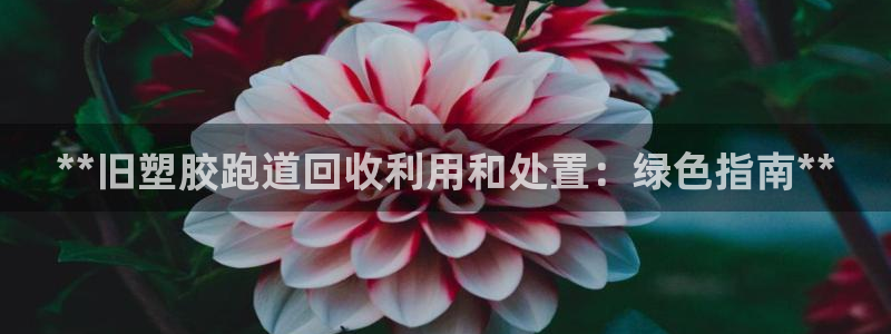 谈球吧网页登陆：**旧塑胶跑道回收利用和处置：绿色指南**
