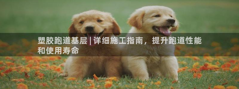 谈球吧网app官网下载：塑胶跑道基层 | 详细施工指南，提升跑道性能
和使用寿命