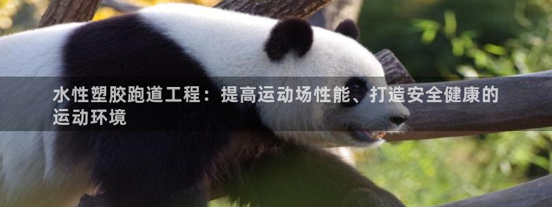 谈球吧体育：水性塑胶跑道工程：提高运动场性能、打造安