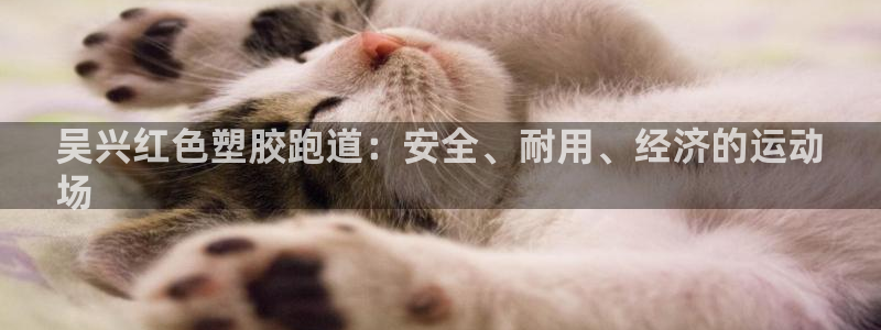 谈球吧最新APP下载：吴兴红色塑胶跑道：安全、耐用、