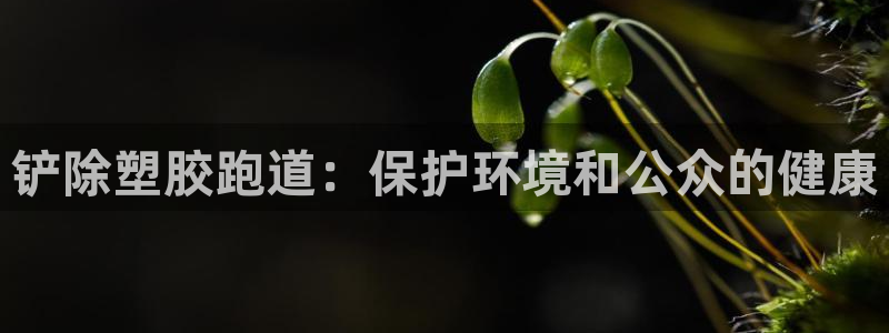 谈球吧app体育下载：铲除塑胶跑道：保护环境和公众的健康
