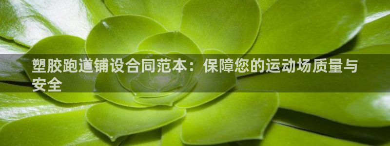 谈球吧的聊天软件叫什么：塑胶跑道铺设合同范本：保障您