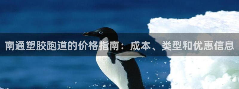谈球吧官网入口：南通塑胶跑道的价格指南：成本、类型和
