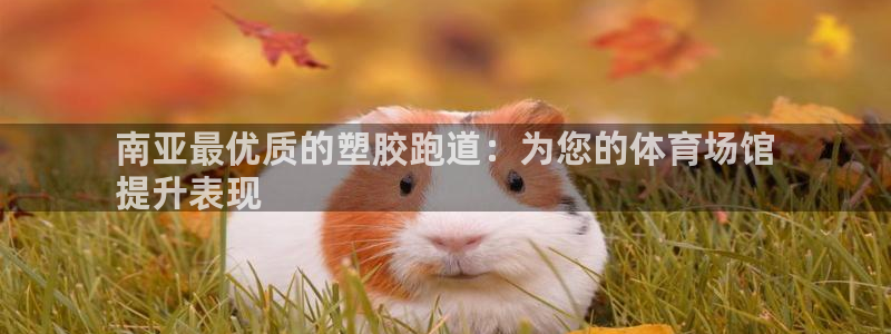 谈球吧体育app登陆不了：南亚最优质的塑胶跑道：为您