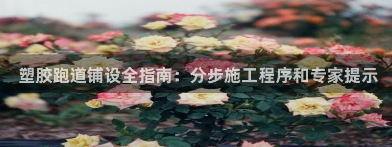 谈球吧是黑台子吗还是白台子好： 塑胶跑道铺设全指南：