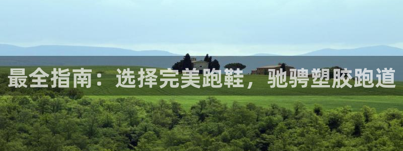 谈球吧官网app下载：最全指南：选择完美跑鞋，驰骋塑