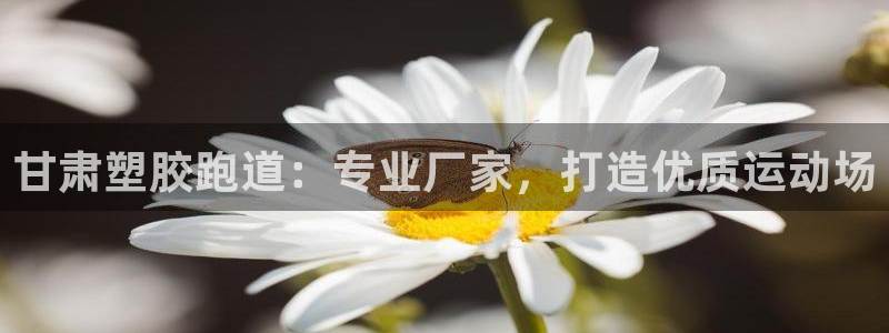 谈球吧可靠吗：甘肃塑胶跑道：专业厂家，打造优质运动场