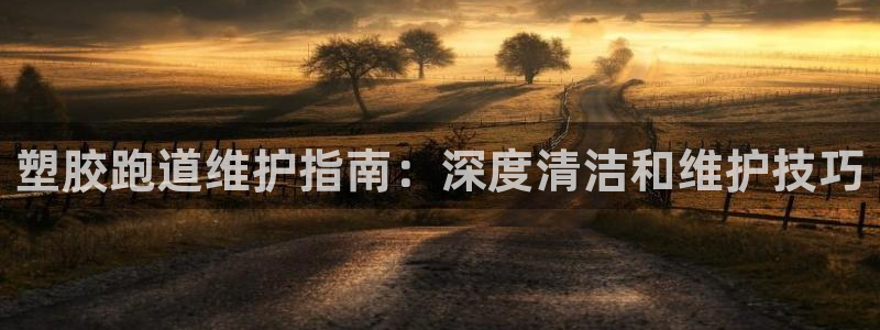 谈球吧平台app：塑胶跑道维护指南：深度清洁和维护技