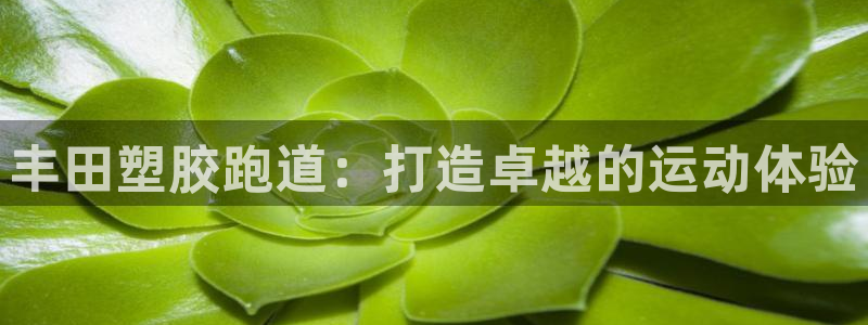 谈球吧属于哪个旗下：丰田塑胶跑道：打造卓越的运动体验