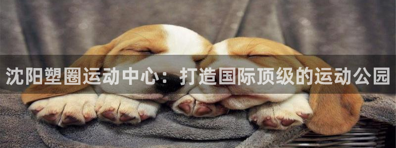 谈球吧体育官方入口