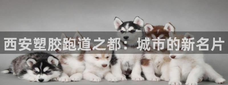 谈球吧在线登陆