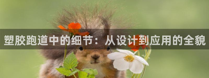 谈球吧app体育下载官网