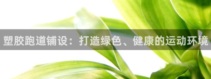 谈球吧体育app下载足球比赛视频