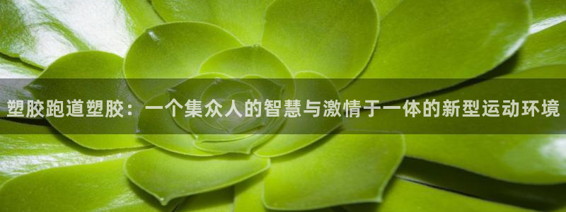 谈球吧官网在线入口免费观看高清