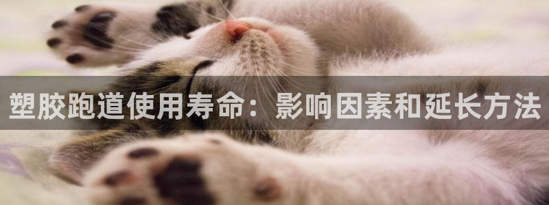 谈球吧打不开了：塑胶跑道使用寿命：影响因素和延长方法