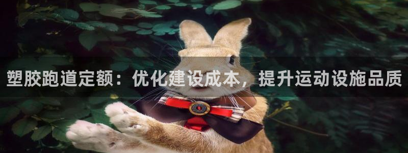 谈球吧账号有人收吗：塑胶跑道定额：优化建设成本，提升运动设施