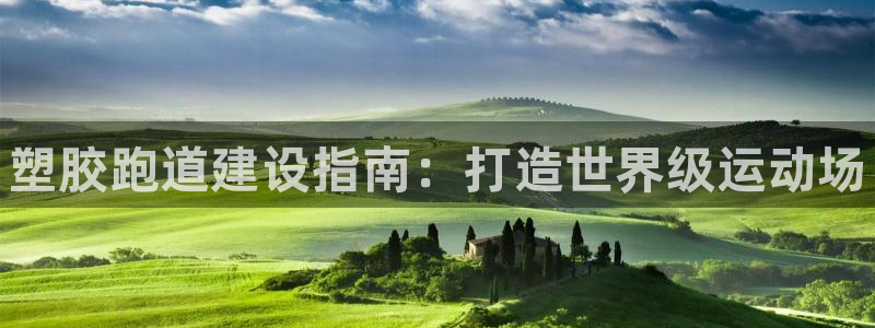 谈球吧在线登陆：塑胶跑道建设指南：打造世界级运动场