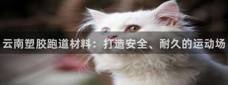 谈球吧体育app下载足球直播软件：云南塑胶跑道材料：打造安全、耐久的运动场