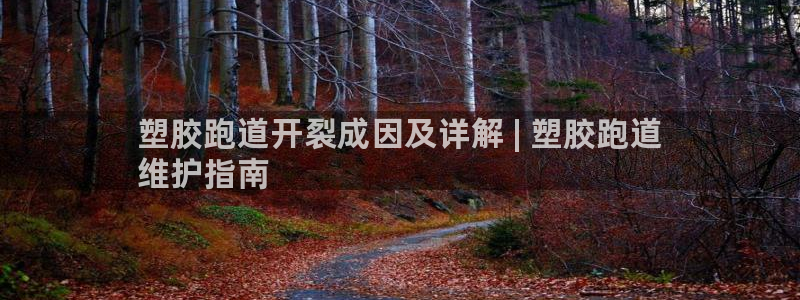 谈球吧体育app下载中心官网苹果：塑胶跑道开裂成因及详解 | 塑胶跑道
维护指南