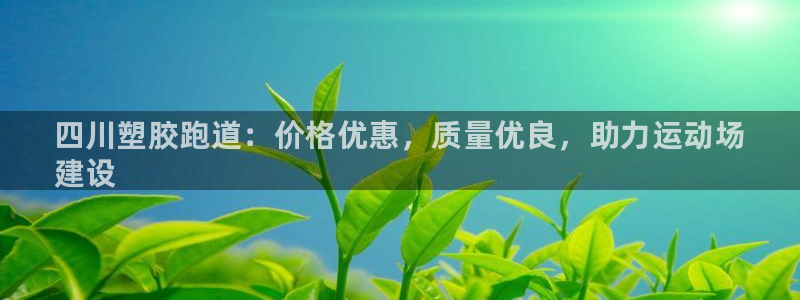 谈球吧电子app：四川塑胶跑道：价格优惠，质量优良，