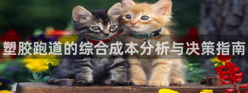 谈球吧下载地址