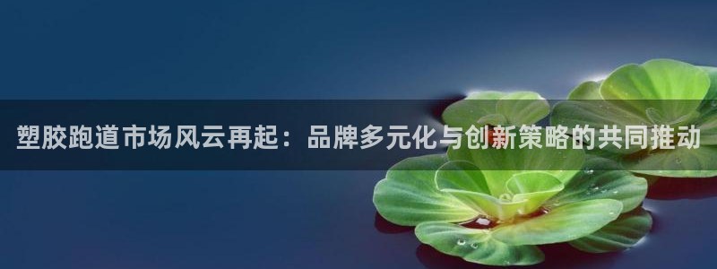 谈球吧官网入口在线观看