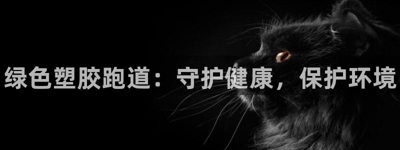 谈球吧红包激活码：绿色塑胶跑道：守护健康，保护环境