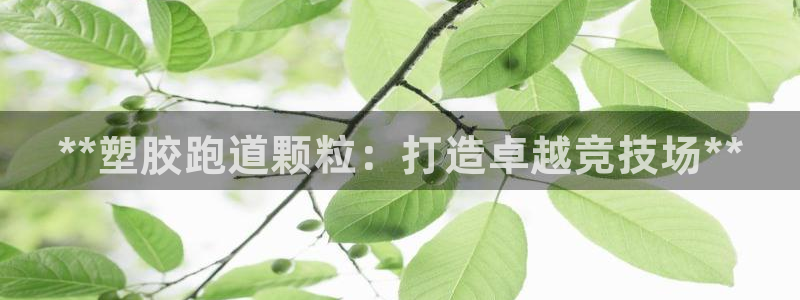 谈球吧体育官网在线入口：**塑胶跑道颗粒：打造卓越竞