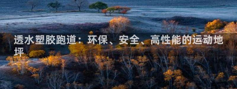 谈球吧网页登录：透水塑胶跑道：环保、安全、高性能的运