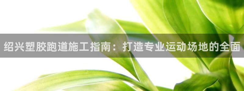 谈球吧在线登录：绍兴塑胶跑道施工指南：打造专业运动场