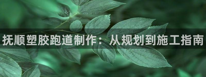 谈球吧的聊天软件有哪些：抚顺塑胶跑道制作：从规划到施工指南