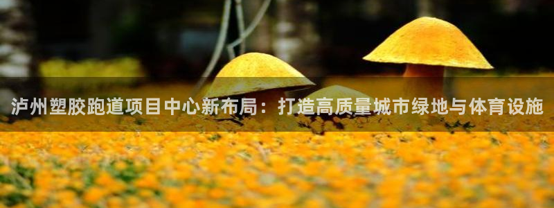 谈球吧官网在线入口手机版：泸州塑胶跑道项目中心新布局：打造高